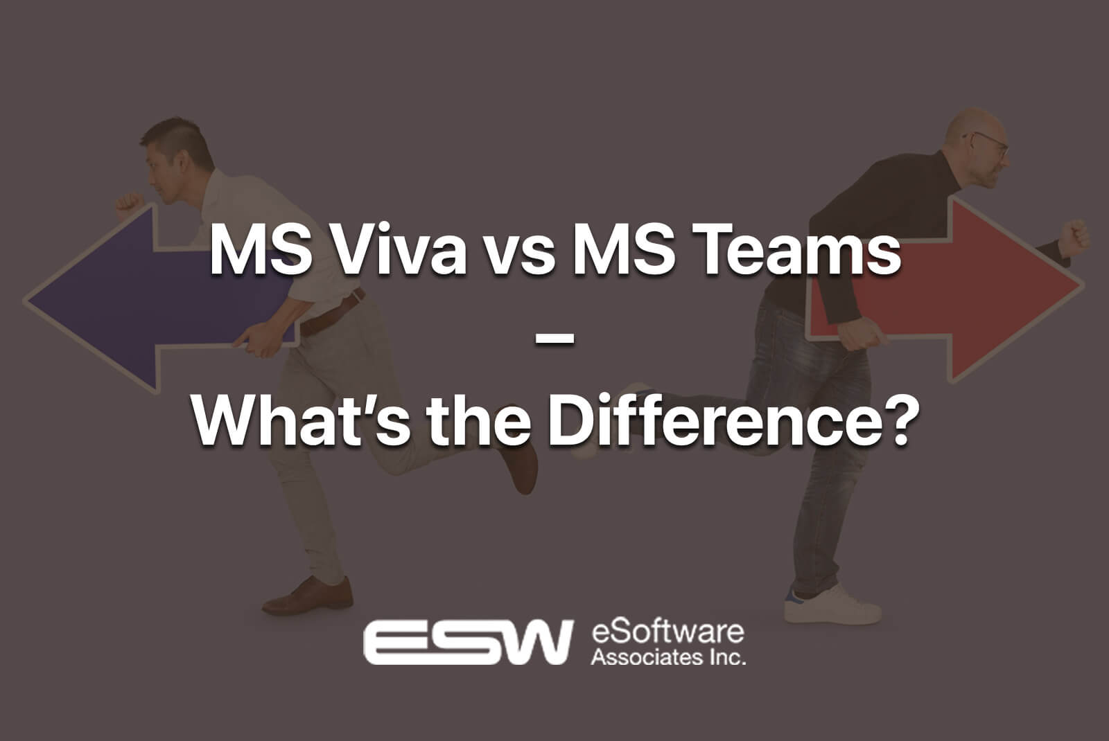 ESWCompanys-Microsoft-Viva-vs-Microsoft-Teams-Whats-the-Difference | eSoftware Associates Inc (ESW)