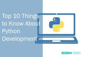 Top 10 Things to Know About Python Development