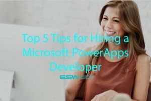 Top 5 Tips for Hiring a Microsoft Power Apps Developer