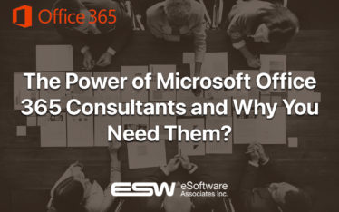 ESWCompany's Microsoft Office 365 Consultants