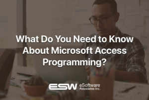 What Do You Need to Know About Microsoft Access Programming?